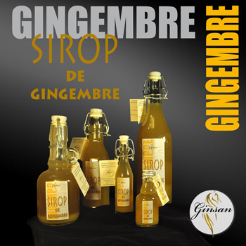 GINGEMBRE CARTE DE VISITE WEB 2